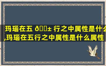 玛瑙在五 🐱 行之中属性是什么,玛瑙在五行之中属性是什么属性